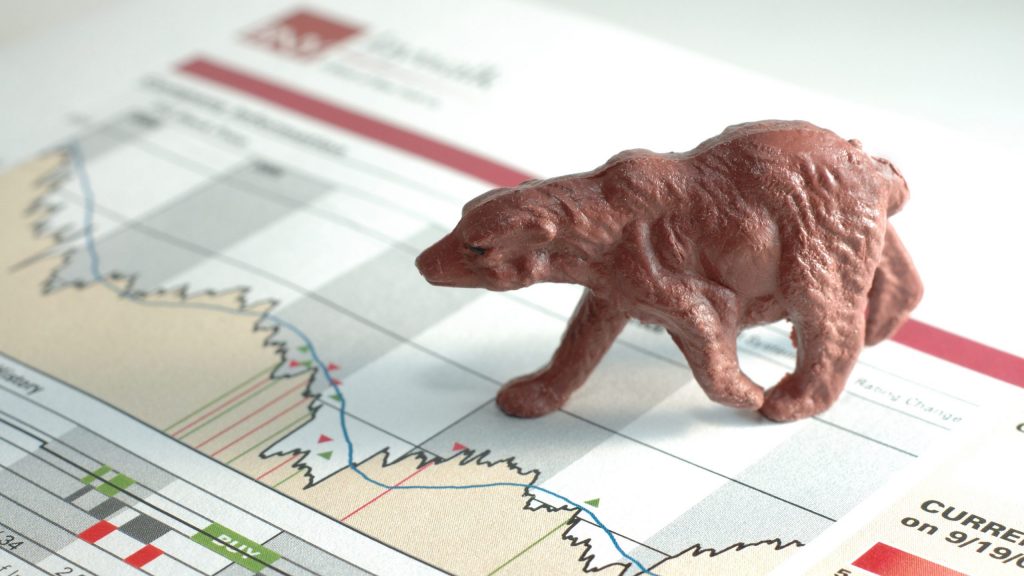 bear stock market