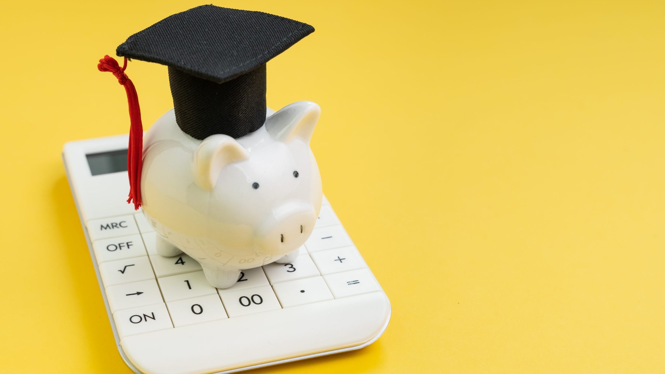 Student loan payment calculation, scholarship or saving for school and education concept, white piggy bank wearing graduation hat on calculator on yellow background with copy space.