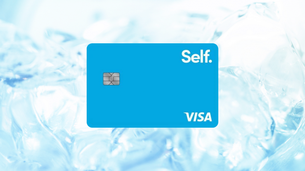 Self Visa® Credit Card
